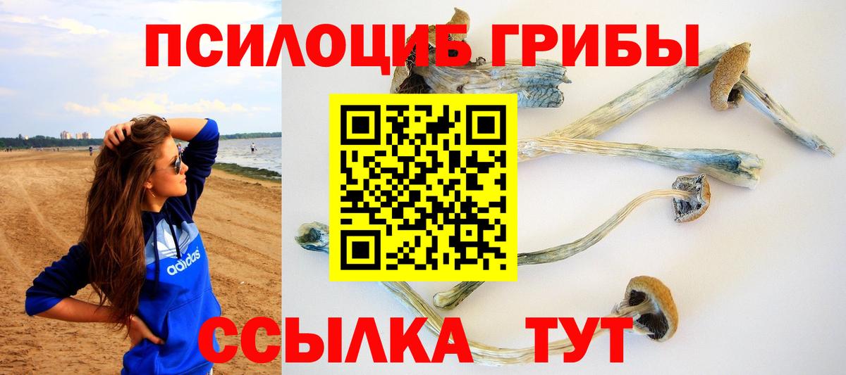 Кондопога  Галлюциногенные грибы мицелий  Псилоцибиновые грибы MAGIC MUSHROOMS  Вход с VPN 