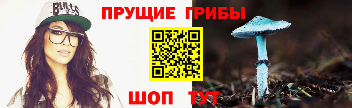 Псилоцибиновые грибы мицелий Кондопога